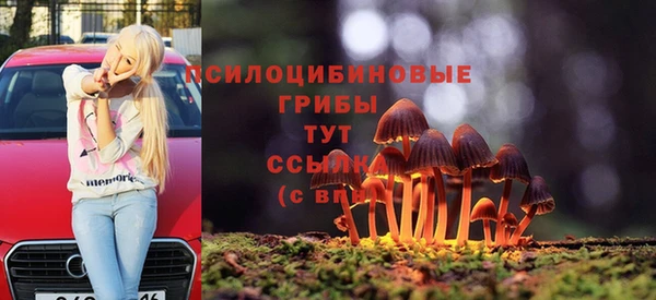 гидра Навашино