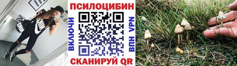 купить закладку Ртищево Галлюциногенные грибы мухоморы
