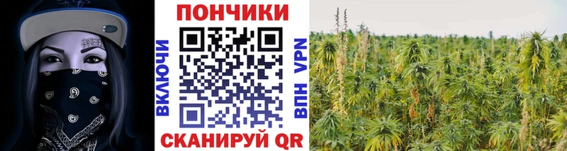 ОМГ ОМГ сайт  купить  цена  Ртищево  Бошки марихуана семена 